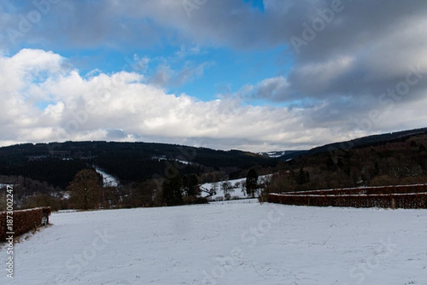 Fototapeta Dimanche hivernale