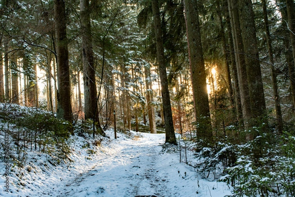Fototapeta Dimanche hivernale