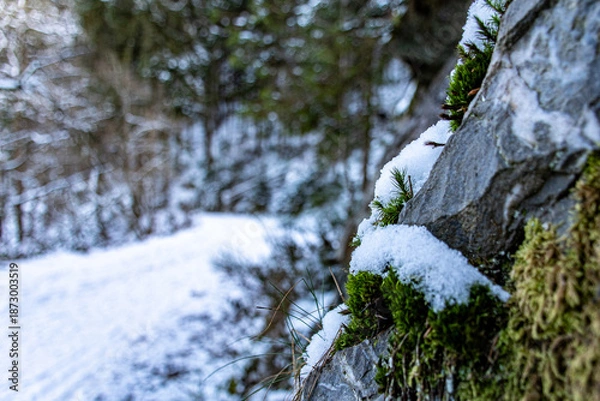 Fototapeta Dimanche hivernale