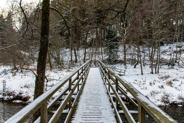 Fototapeta Dimanche hivernale