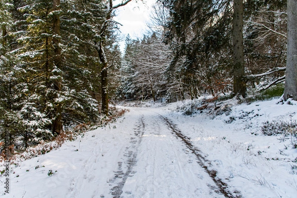 Fototapeta Dimanche hivernale