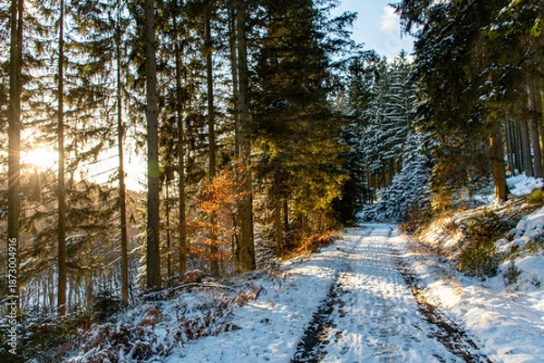 Obraz Dimanche hivernale