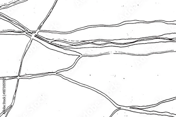 Obraz Abstract Monochrome Topographic Line Pattern with Gritty Texture