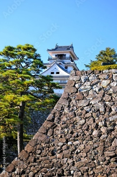Obraz 高知城 天守閣と二ノ丸跡石垣