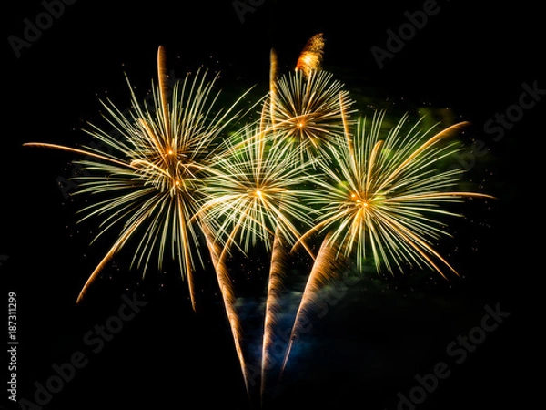 Obraz Firework on black background