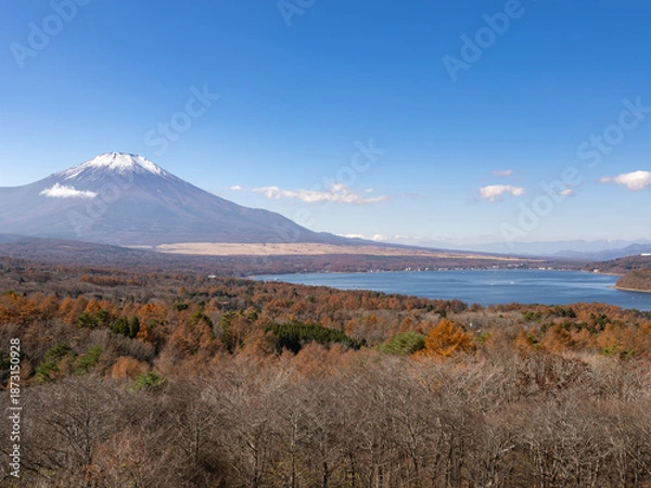 Obraz 富士山と山中湖と紅葉