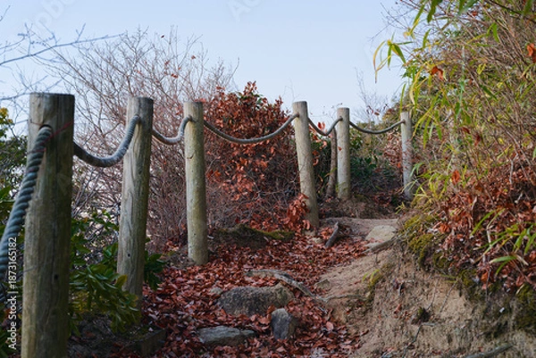 Obraz 羽束山の登山道