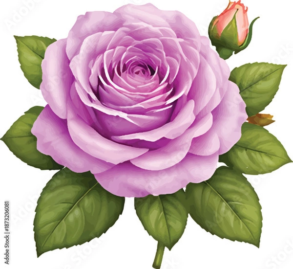 Obraz Rose vector transparent