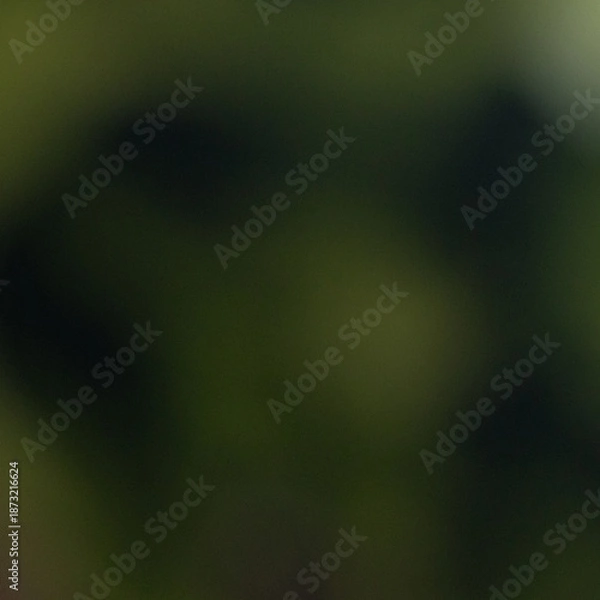 Obraz Abstract deep green and olive gradient background with soft bokeh texture