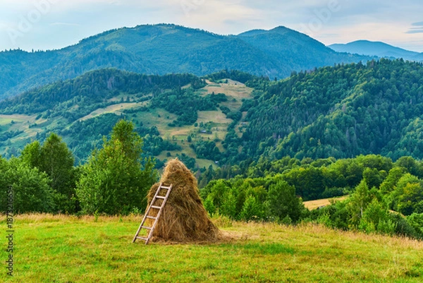 Fototapeta Haystack Ladder Mountain Slope Scenery