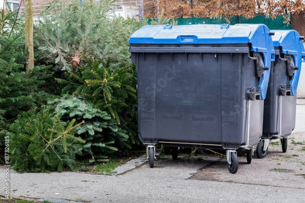 Fototapeta Christbaum-Entsorgung: Weihnachtsbäume und Restmülltonne