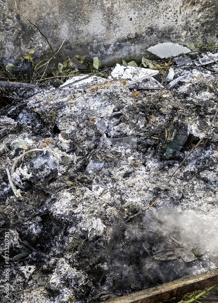 Obraz Burned human bones