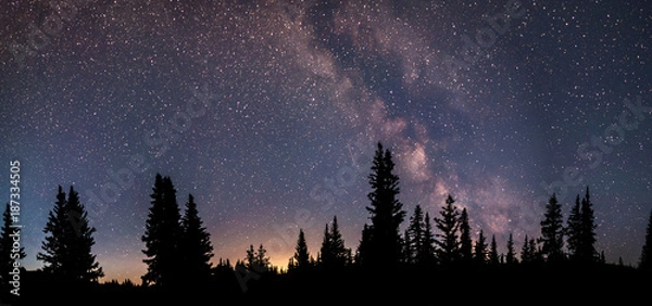 Obraz Milky Way Panorama. A silhouette of a forest in the wilderness. Light pollution can be seen in the distance. 