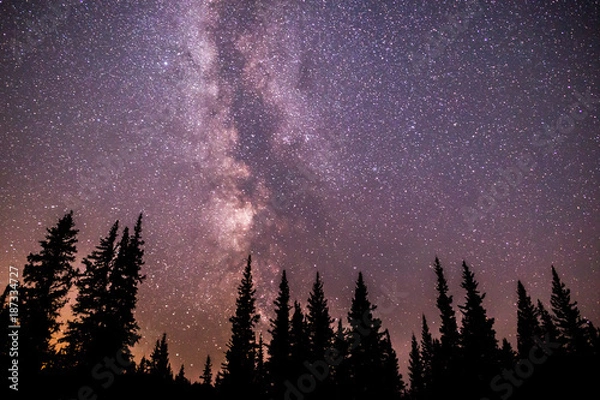 Obraz Milky way tree line. Silhouette of pine trees against a colorful milky way galaxy sky.