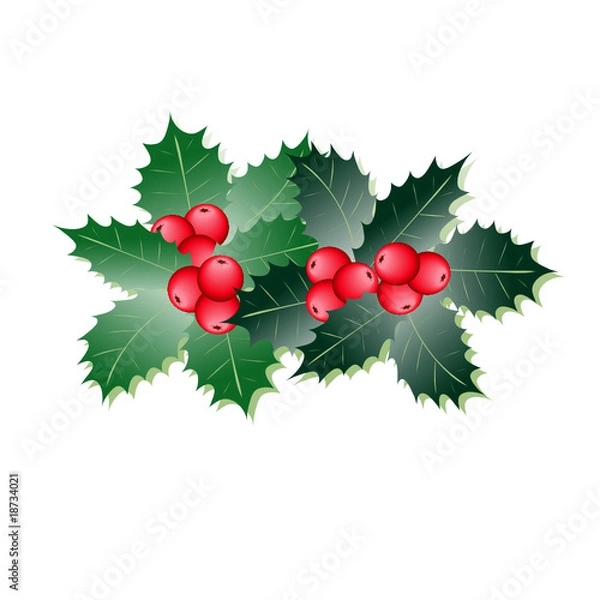 Obraz Stechpalmen Element