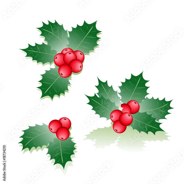 Obraz Stechpalmen Elemente