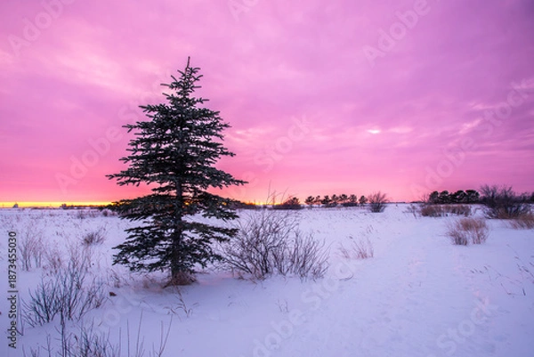 Obraz Winter sunset on the prairie