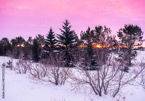 Obraz Winter sunset on the prairie