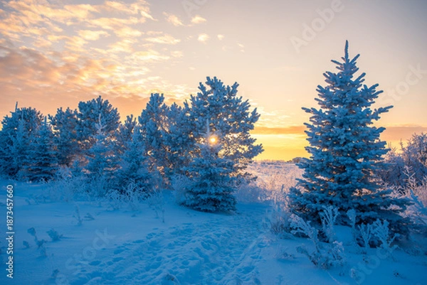 Obraz Winter sunset on the prairie