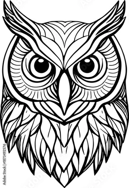 Obraz Owl Face Illustration