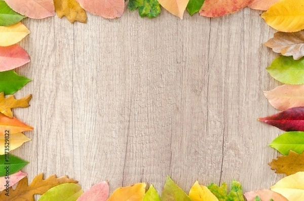 Obraz autumn leaves frame