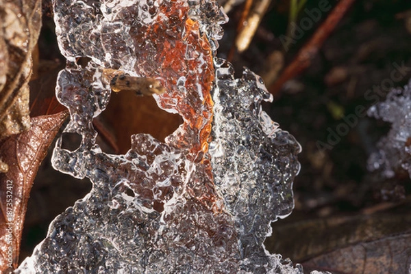 Obraz 冬の山　枯草に付いた氷が溶け輝く01