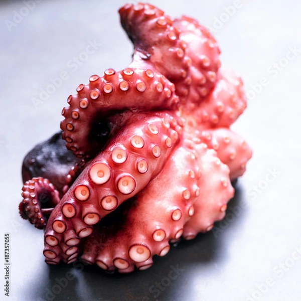 Fototapeta Boiled octopus on metal background with copy space. Square crop