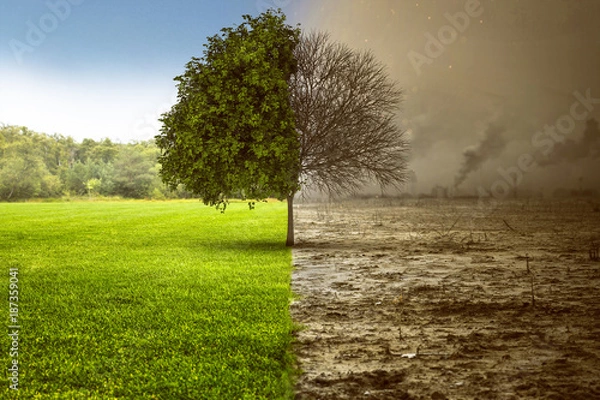 Obraz Degradacja środowiska