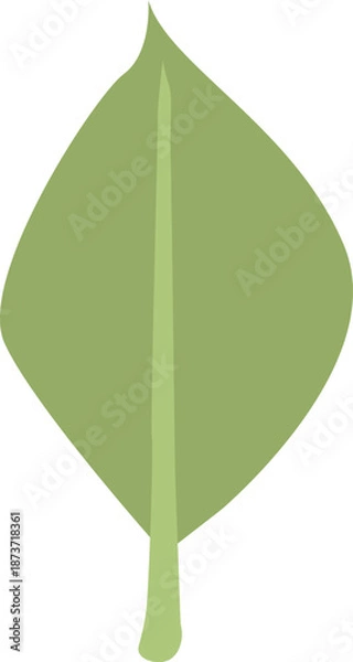 Obraz 緑の葉のイラスト 透明背景