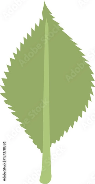 Obraz 緑の葉のイラスト 透明背景