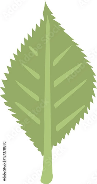 Obraz 緑の葉のイラスト 透明背景