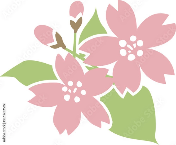 Obraz 桜の花と葉とつぼみのイラスト 透明背景