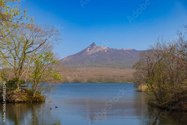 Obraz 北海道大沼2025春-大沼の景色-06