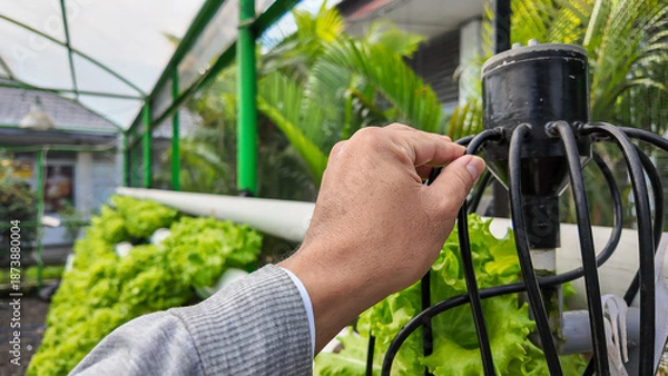 Obraz Checking Hydroponic Nutrient System with Hand