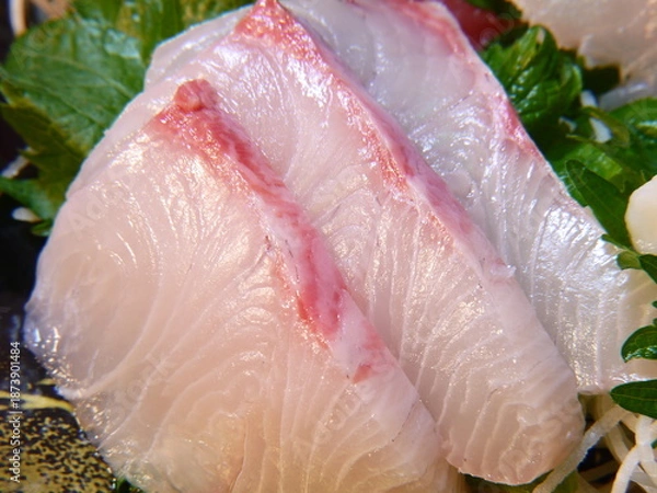 Obraz ハマチの刺身