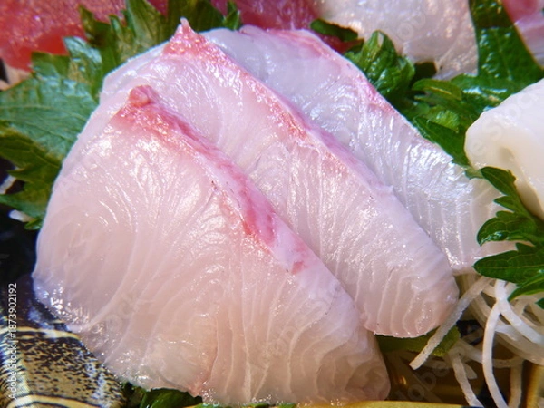Obraz ハマチの刺身