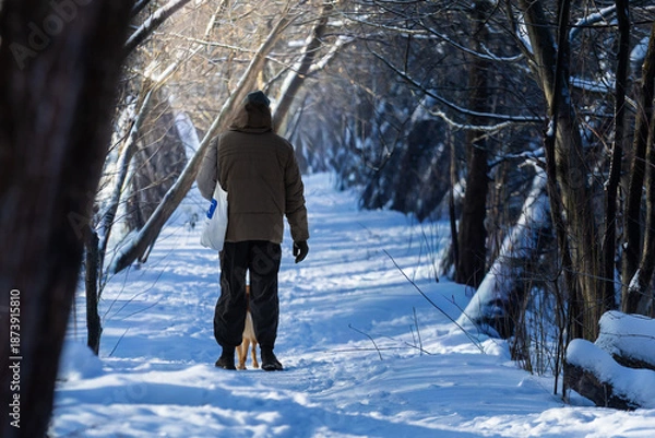 Obraz man walking in winter forest