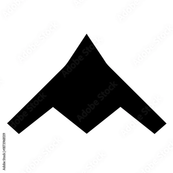 Obraz Sharp Stealth Bomber