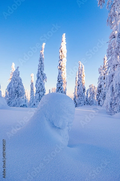 Obraz winter landscape with snow