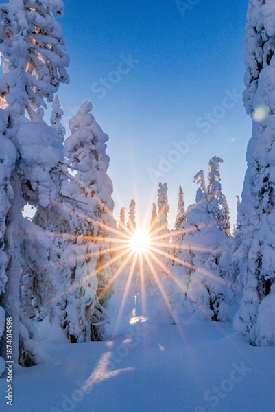 Obraz winter landscape with snow