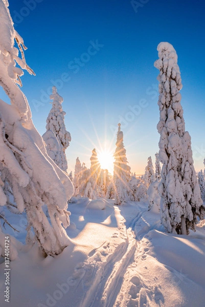 Obraz winter landscape with snow