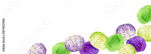 Obraz キャベツ 紫キャベツ　野菜　背景 フレーム 横長　水彩 イラスト