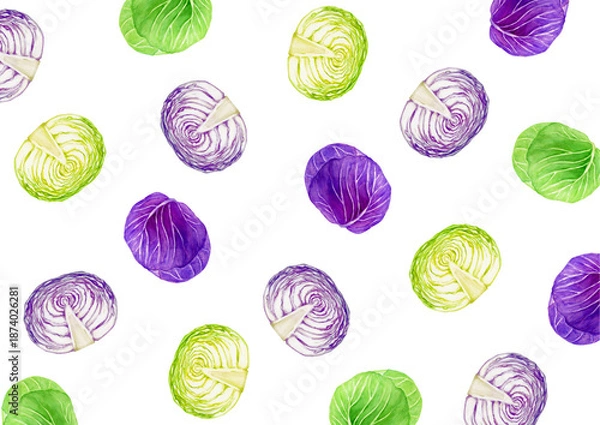 Obraz キャベツ 紫キャベツ　野菜　背景 模様　水彩 イラスト