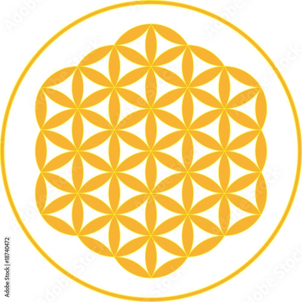 Obraz Blume des Lebens