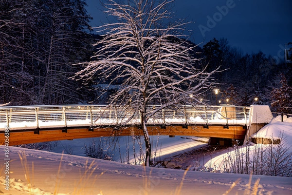 Obraz Winter in Baiersbronn