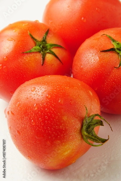 Obraz 新鮮なトマト