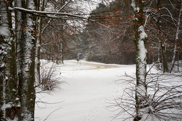 Obraz droga asfaltowa,zima 