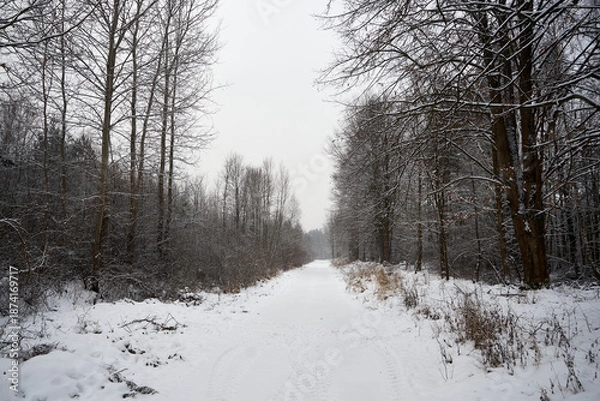 Obraz droga ,zima 