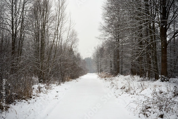 Obraz droga asfaltowa,zima 