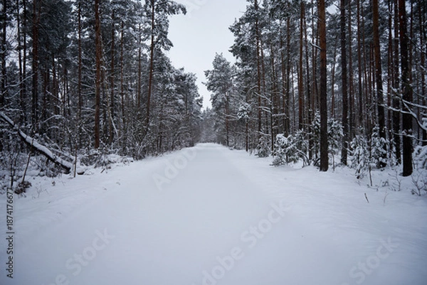 Obraz droga asfaltowa,zima 